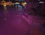 rijeka-Bosna-poplava3