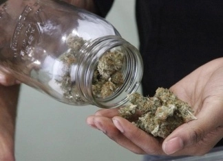 Uskoro nacrt zakona o legalizaciji kanabisa u BiH?