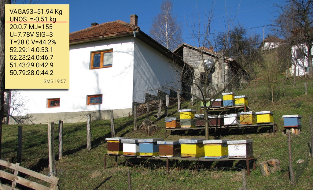 Hiljade bh. pčelara ostali bez meda, traže pomoć države