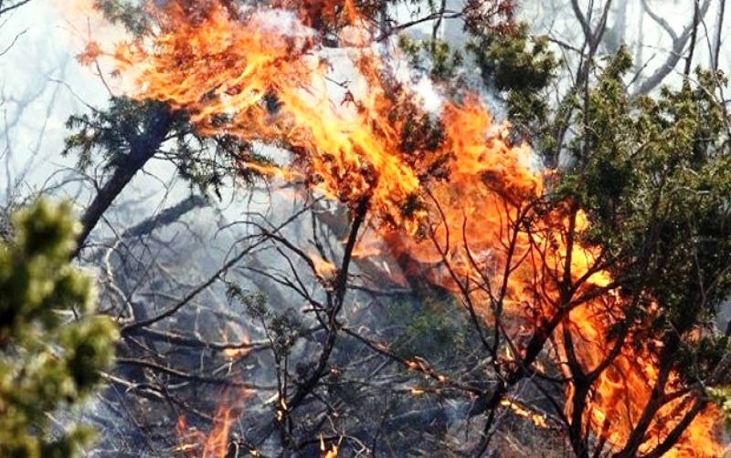 Požar na Boračkom jezeru pod kontrolom