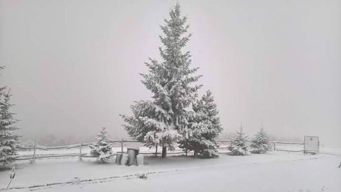 Zbog snijega u Federaciji BiH bez struje 47 hiljada potrošača