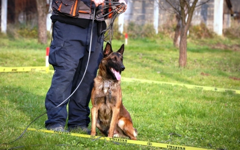 Od mina ugroženo više od pola miliona stanovnika u BiH