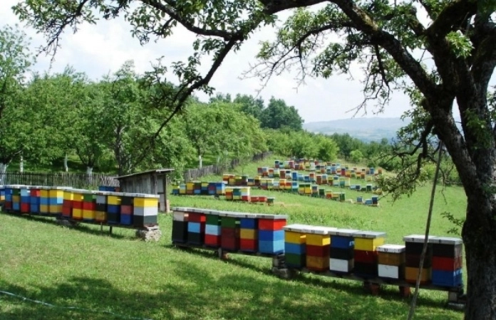 Vlada ZDK-a odobrila sredstva za poticanje poljoprivredne proizvodnje