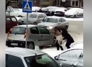 Stop Ugrizu moli nadležne institucije da ispitaju sve osobe povezane sa nezakonitim premještanjem pasa