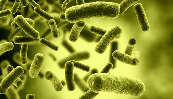 WHO napravila listu najopasnijih bakterija