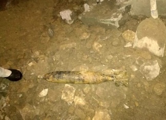 U zeničkom naselju Dobriljeno pripadnici FUCZ-a uklonili minobacačku granatu