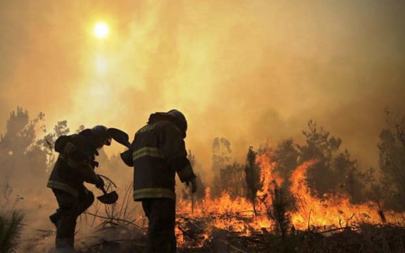 Na području ZDK od početka godine registrovano 20 šumskih i požara na otvorenom