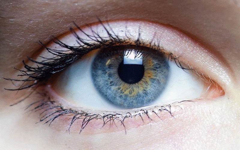 Danas je Svjetski dan vida: vodite li brigu o Vašim očima?