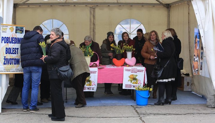 Udruženje građana “Život” organizuje akciju “Narcisom protiv raka dojke”