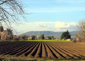 Milion eura grant sredstava za projekte razvojnih partnerstava