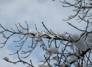 Meteorolozi najavljuju ekstremne vremenske prilike
