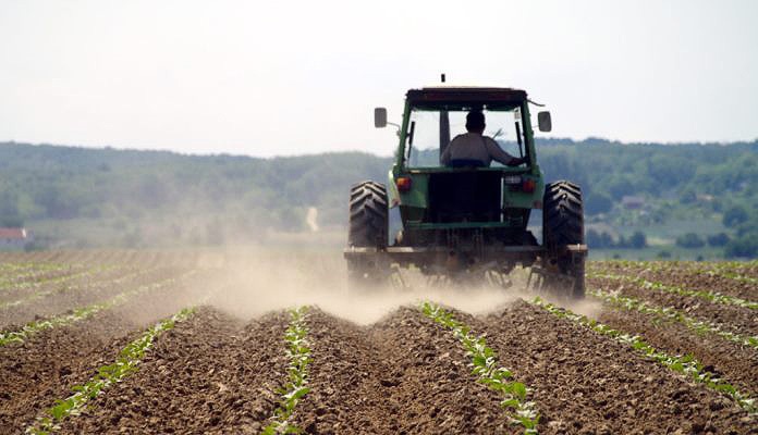 Vijeće ministara BiH usvojilo Strategiju ruralnog razvoja