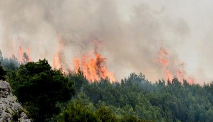 Požar kod Bosanskog Grahova, potrebna pomoć helikoptera OSBiH