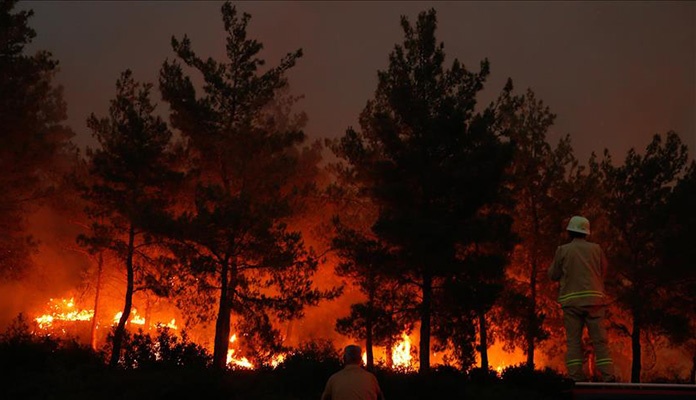 U šumskim požarima u Alžiru poginulo najmanje 37 osoba