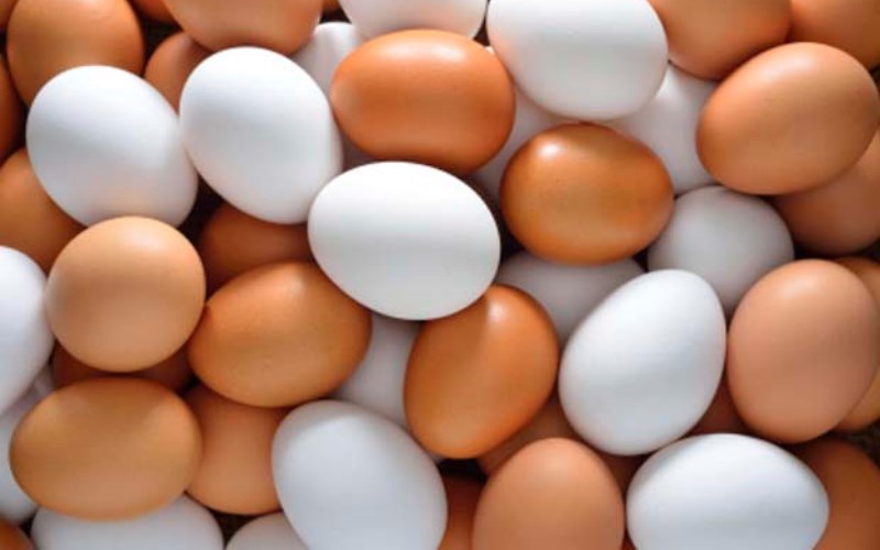 Odobren izvoz jaja iz BiH u Evropsku uniju