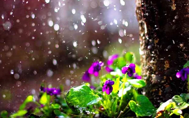 Trenutno ne postoji rizik od poplava u BiH, proljeće stiže s ekstremima