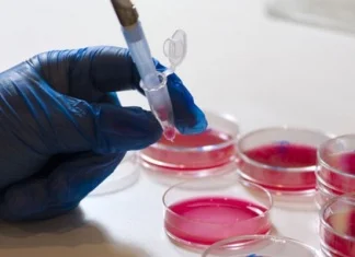 Naučnici ćelije raka pretvorili u salo