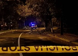 Ukrao auto i bježao od policije po Zenici, zabio se u drvo i uhapšen (FOTO)