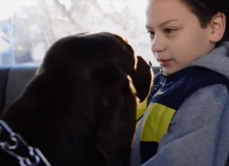 Pas koji je autističnom dječaku promijenio život (VIDEO)
