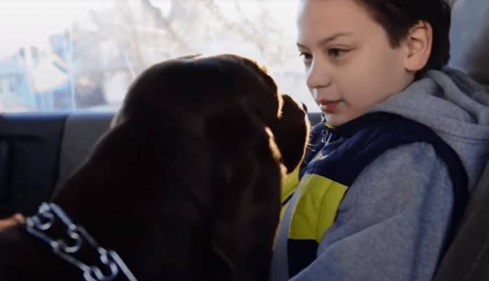 Pas koji je autističnom dječaku promijenio život (VIDEO)