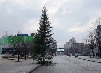 Počelo postavljanje velike jelke u centru Zenice