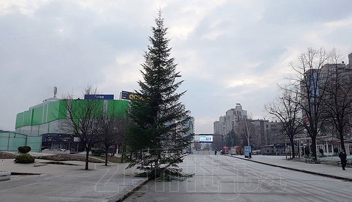 Počelo postavljanje velike jelke u centru Zenice