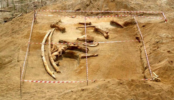 Skelet dinosaurusa u Egiptu donosi nova otkrića