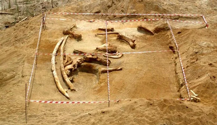 Skelet dinosaurusa u Egiptu donosi nova otkrića