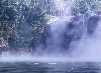 Misteriozna rijeka koja ubija sve što se nađe u njoj (VIDEO)
