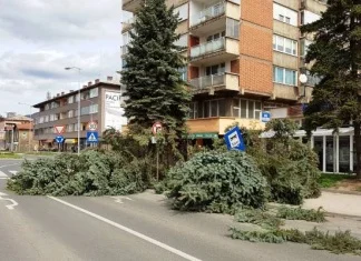Jak vjetar u Zenici oborio dva stabla uz GGM (FOTO)