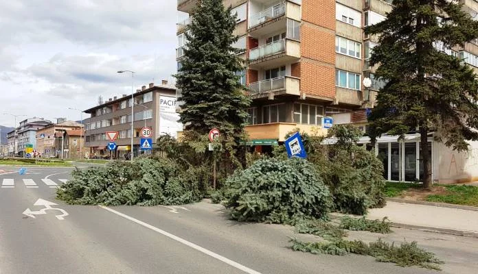 Jak vjetar u Zenici oborio dva stabla uz GGM (FOTO)