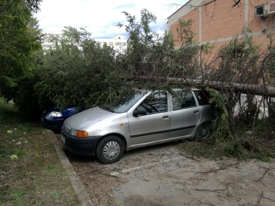 Jak vjetar u Zenici oborio dva stabla uz GGM (FOTO)