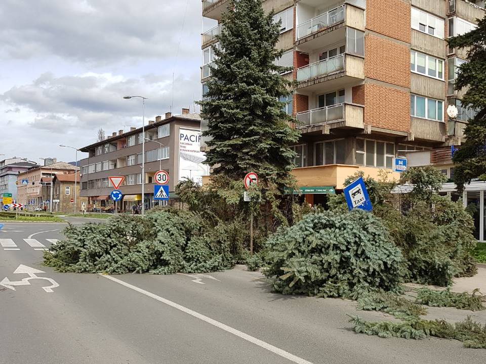 Jak vjetar u Zenici oborio dva stabla uz GGM (FOTO)