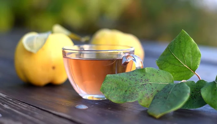Čaj koji snižava holesterol i čisti jetru