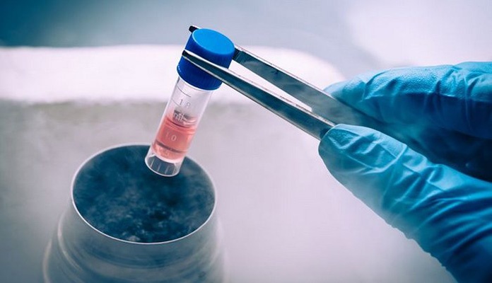 U BiH raste svijest o prednostima pohrane matičnih ćelija