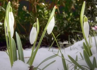 Na Biokovu iznad Makarske pao snijeg