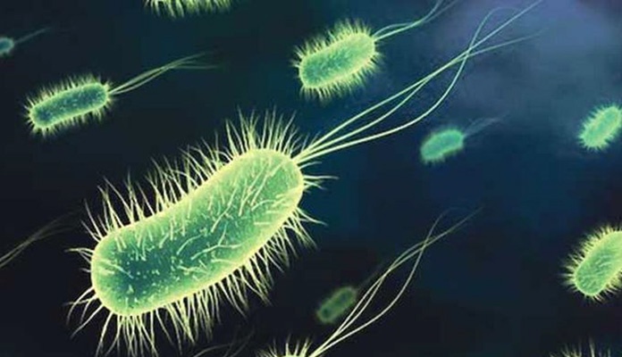 Smrtonosna bakterija nalazi se na koži svake osobe