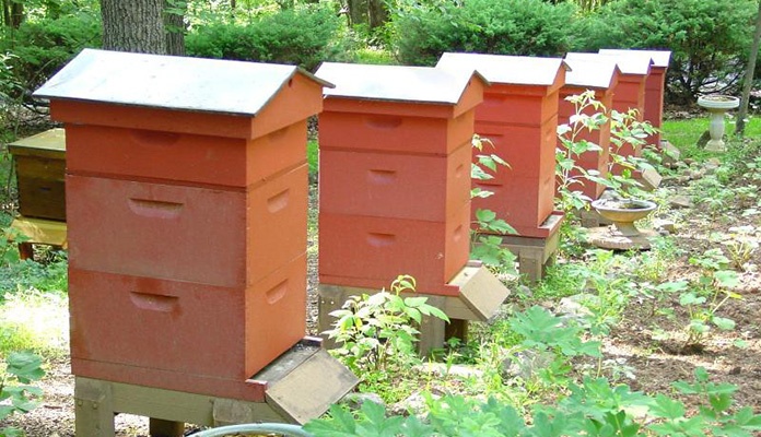 U mjestu Nemilska rijeka ukradena tri kompleta sanduka sa pčelama