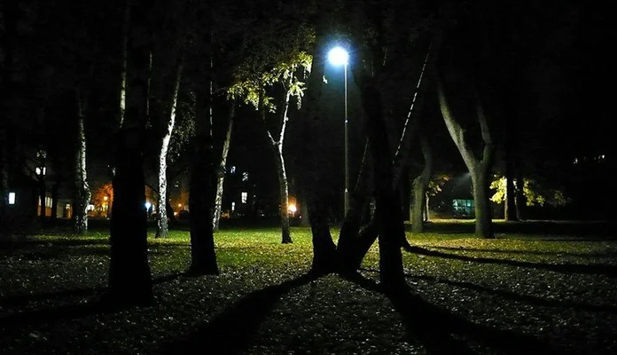 Zeničanka napadnuta u Gradskom parku u Zenici