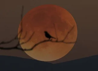 ”Krvavi Mjesec” u petak će izazvati najduže pomračenje u 21. stoljeću