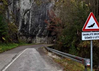 U BiH postavljen prvi saobraćajni znak koji upozorava na šišmiše