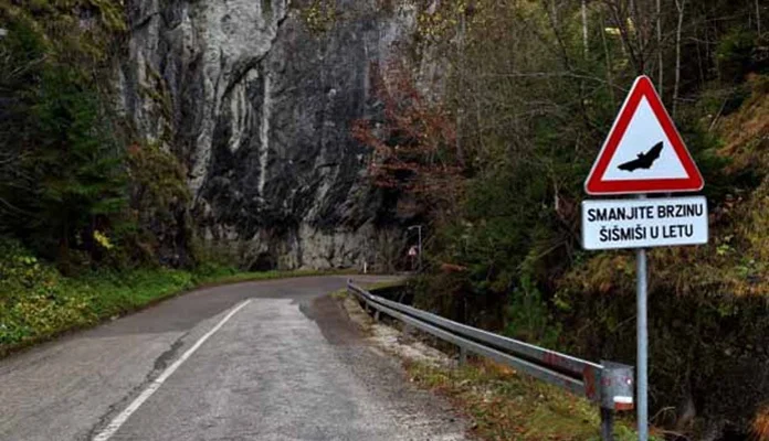 U BiH postavljen prvi saobraćajni znak koji upozorava na šišmiše