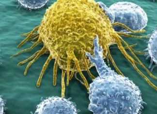 Znanstvenici ćelije raka uspjeli pretvoriti u bezopasne masne stanice