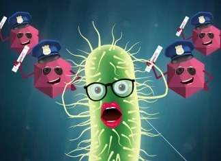 Kako se riješiti uporne gospođe E. coli? …svi je znaju, a niko je ne voli
