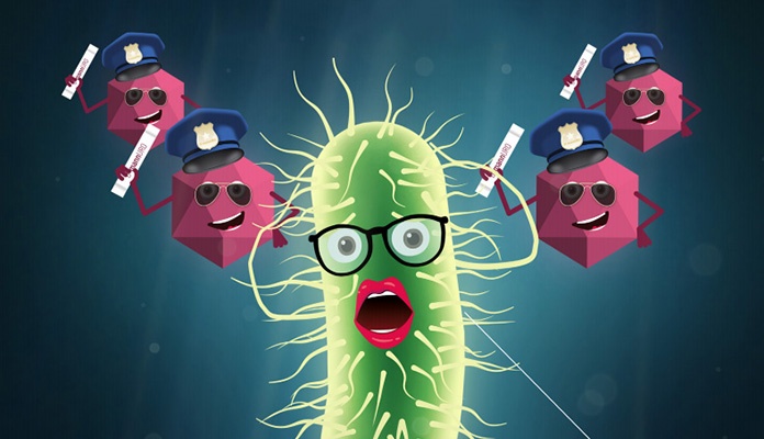 Kako se riješiti uporne gospođe E. coli? …svi je znaju, a niko je ne voli