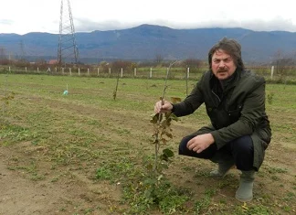 Islamović: Moje lješnjake traži Ferrero Roche