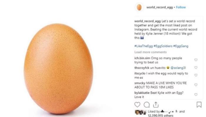 Fotografija jajeta oborila svjetski rekord