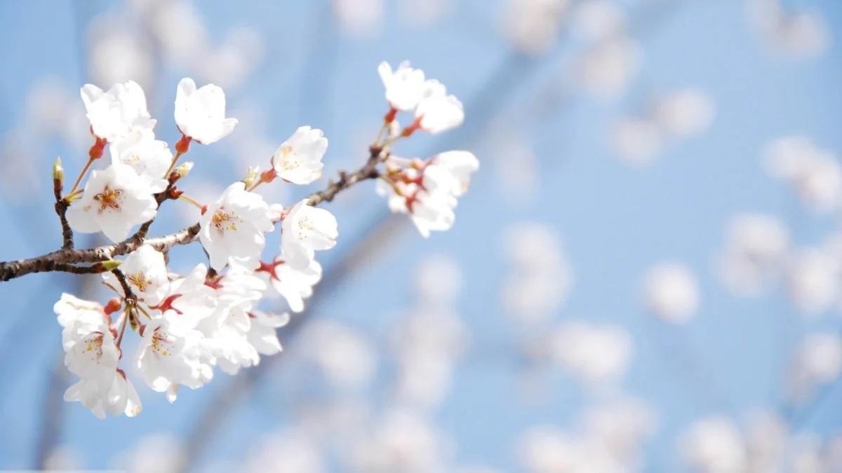 Proljeće bi trebalo da bude nešto toplije u odnosu na višegodišnji prosjek