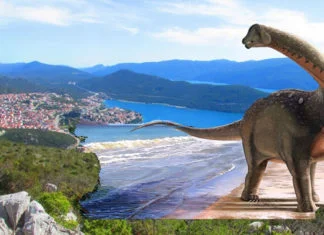 Stjenice- insekti koji su preživjeli izumiranje dinosaura