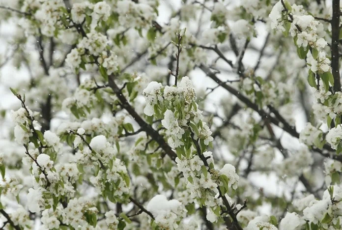 Danas je prvi dan proljeća, evo kakvo nas vrijeme očekuje